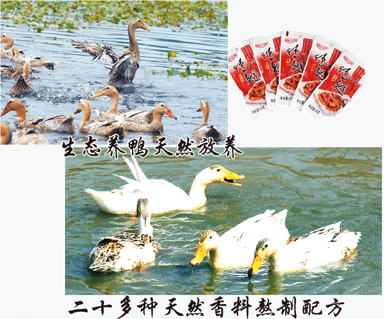 C:\Documents and Settings\Administrator\桌面\微信\详情��\50个鸭���\8详情��_04.gif