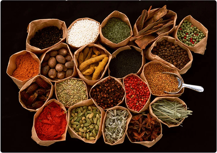 C:\Documents and Settings\Administrator\桌面\微信\详情��\50个鸭���\8详情��_05.gif